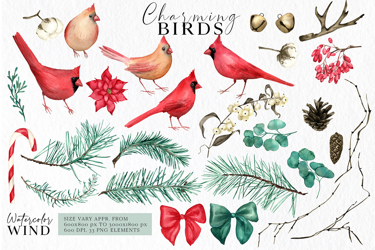Christmas Teal Clipart Cardinal Bird, an Illustration by Ksenia Shmakova (Photo 6 of 16)