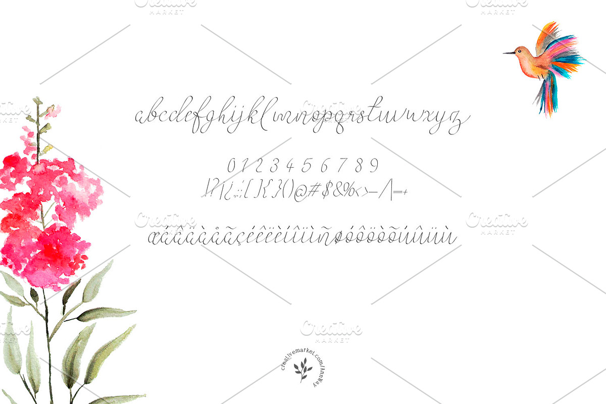 Colibri preview 5