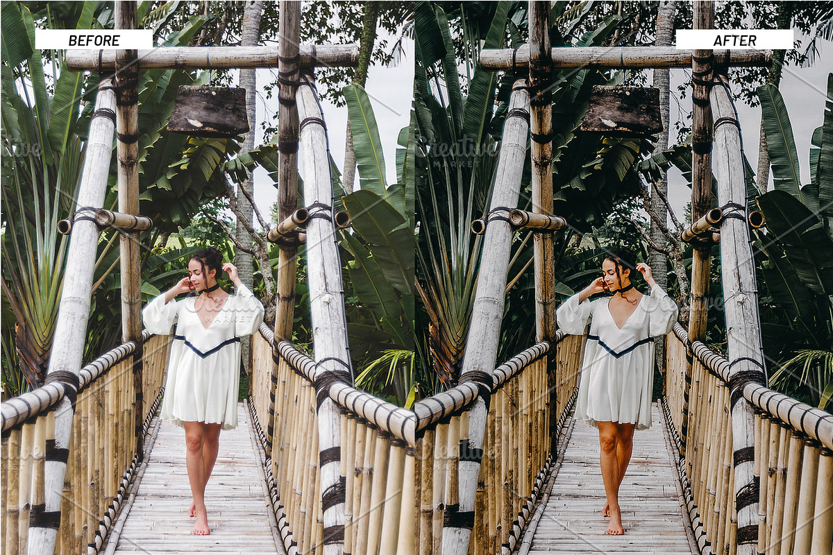 Jungle Lightroom Presets, an Action Add-On by Best Lightroom Presets (Photo 6 of 19)