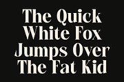CS Anakin, a Serif Font by Craft Supply Co. (Thumbnail 4 of 8)