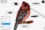 Wet Flow Procreate Brushes, a Brush Add-On by owlasya (Thumbnail 2 of 7)