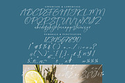 Islandias Beachlife, a Handwritten Font by operatype.co (Thumbnail 13 of 15)
