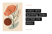 Pericano Display Typeface, a Slab Serif Font by Foxtype (Thumbnail 5 of 7)