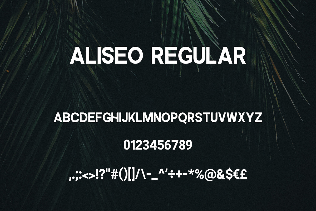 Aliseo Font Family - Sans Serif preview 3