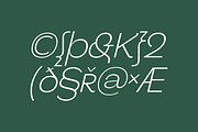 Benua Grotesque TypeFamily + Italic, a Serif Font by Jehoo Creative (Thumbnail 4 of 12)