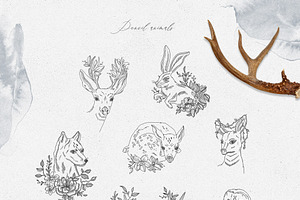 Forest Breath. Enchanted Graphic Set