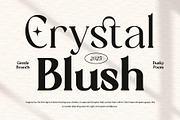 Randeta Olindra - Serif Family, a Serif Font by Novitype (Thumbnail 11 of 13)