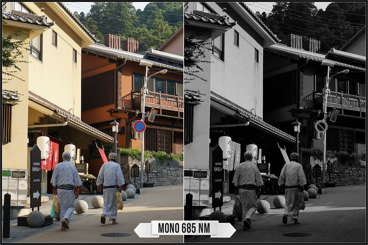 Spectrum Black & White profiles LUTs, a Plug-in Add-On by Raztrend (Photo 8 of 31)