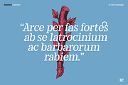 Bandito - Rounded Variable Serif, a Serif Font by Unio Designs (Thumbnail 2 of 15)