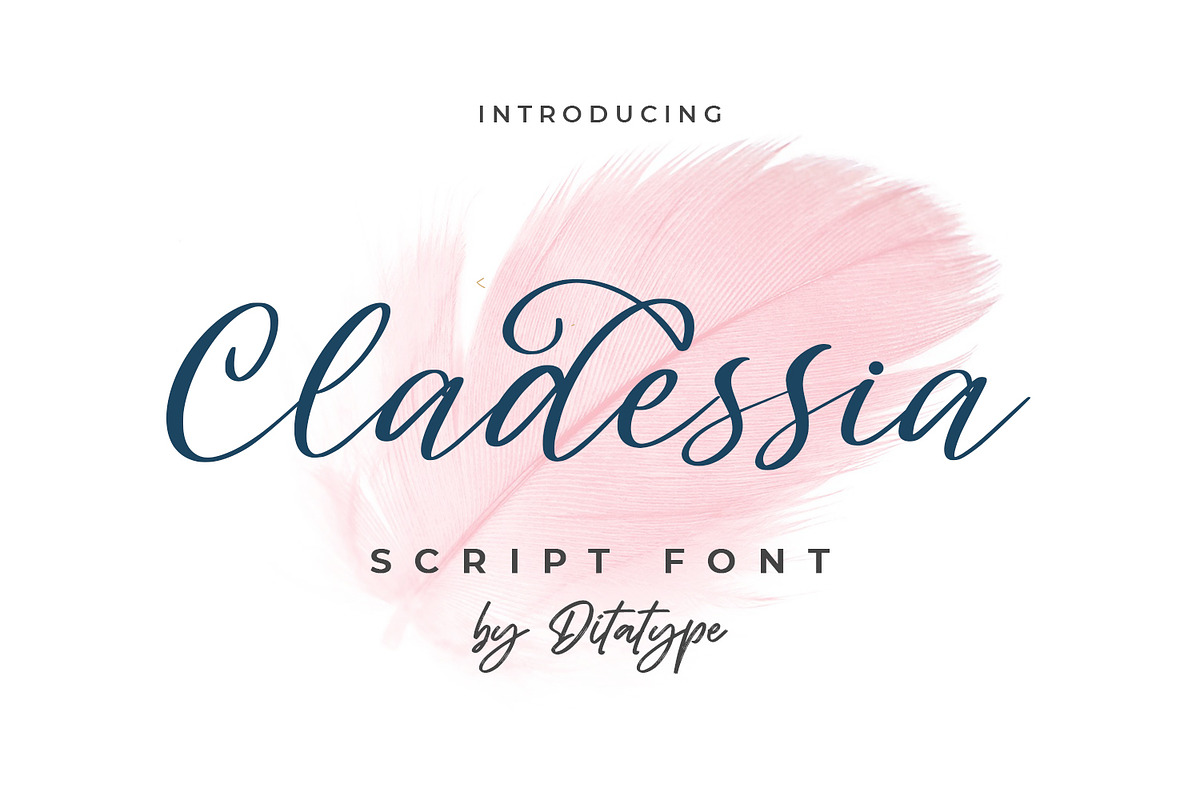 Cladessia, a Script Font by Ditatype (Photo 1 of 8)