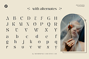 Clemora -  Feminine Minimal Beauty, a Serif Font by roomspace (Thumbnail 11 of 11)
