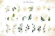 White roses. Watercolor floral set, a Decorative Illustration by Lisima (Thumbnail 9 of 16)