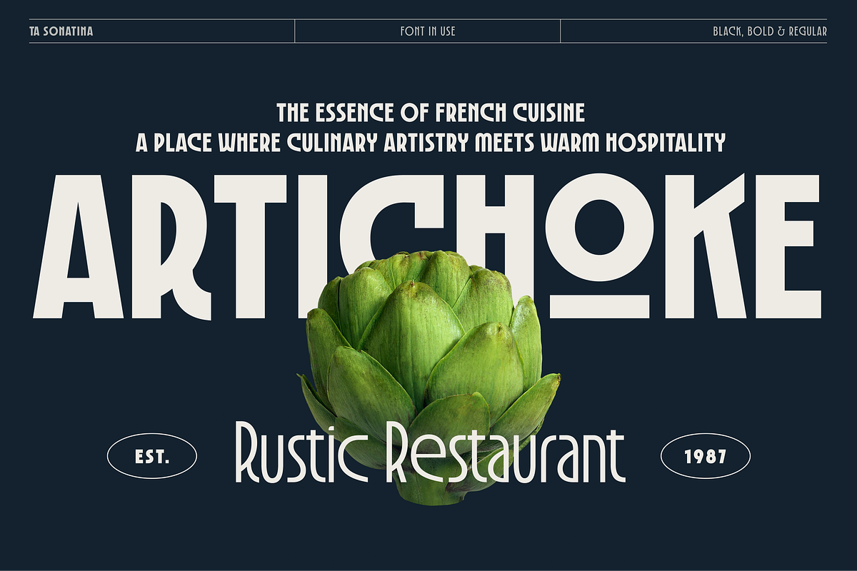 TA Sonatina, a Sans Serif Font by TAFT Foundry (Photo 3 of 15)