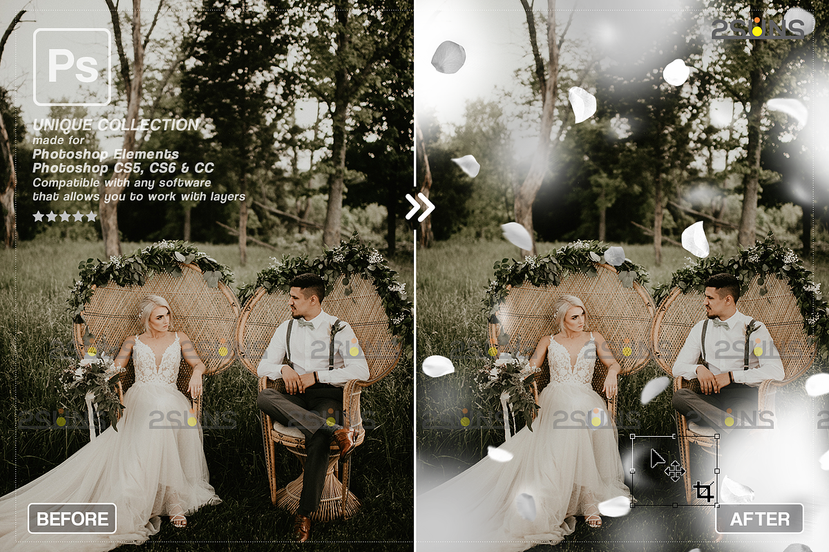 White Rose Petals photo overlays, an Object Graphic by 2SUNS (Photo 9 of 9)