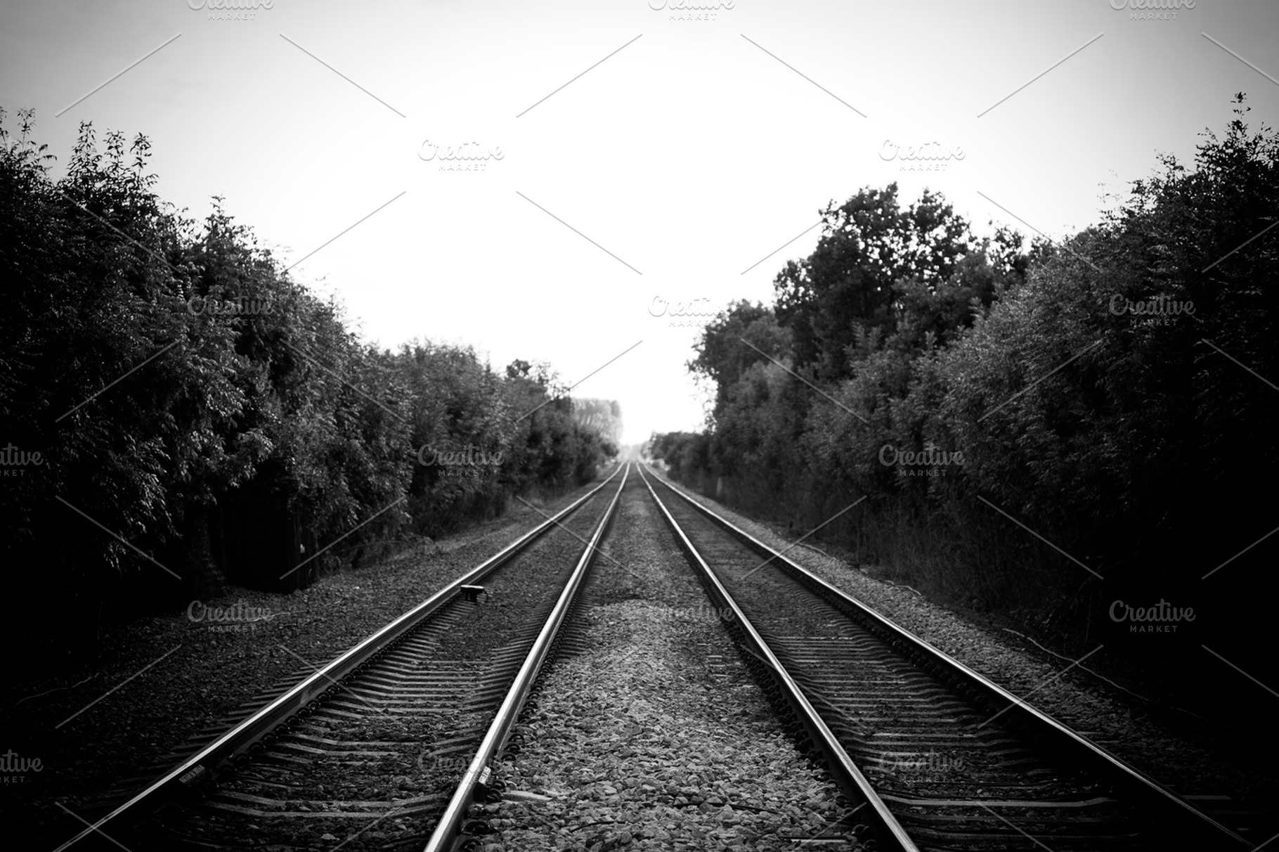 Tracks Containing Transport Train And Tracks
