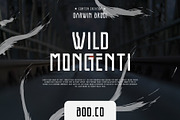 Bothweld Typeface, a Sans Serif Font by Izalsye (Thumbnail 4 of 9)