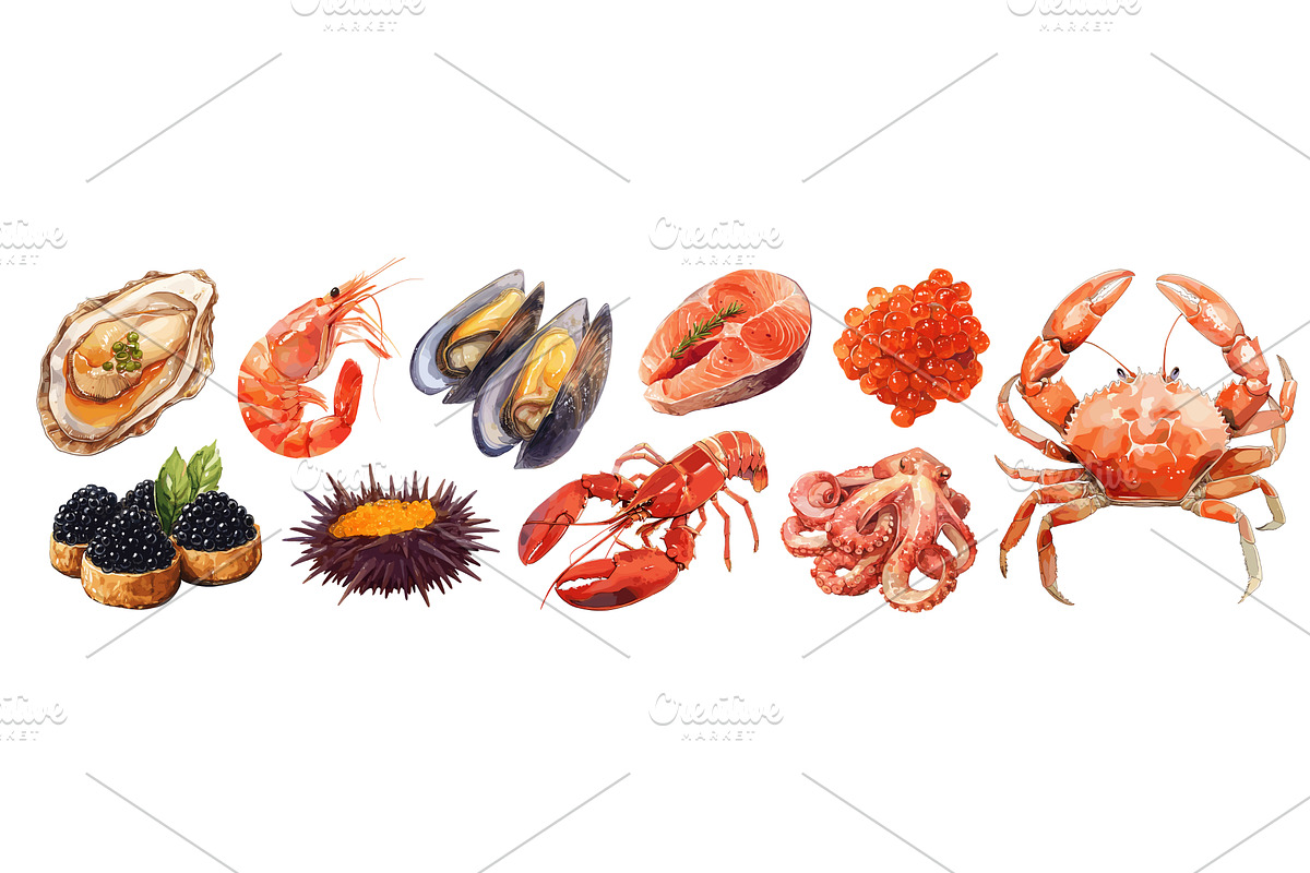seafood watercolor set. oyster, an Animal Illustration by Stock-Smart-Start