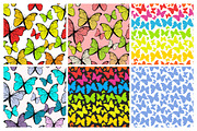 28 Butterfly seamless patterns set, a Pattern Graphic by IreneArt illustrations (Thumbnail 5 of 5)