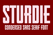 Sturdie - Condensed Sans Serif Font, a Font by GG Design (Thumbnail 1 of 6)