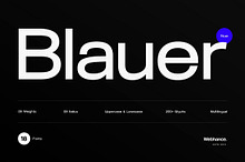 Blauer Nue - A premium sans-serif fo