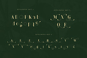 Anzelie – Elegant Stylish Serif, a Serif Font by Almeera Std (Thumbnail 9 of 10)