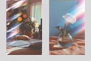 Nostalgia Film Overlays, a Texture Graphic by PhotoSpirit (Thumbnail 4 of 8)