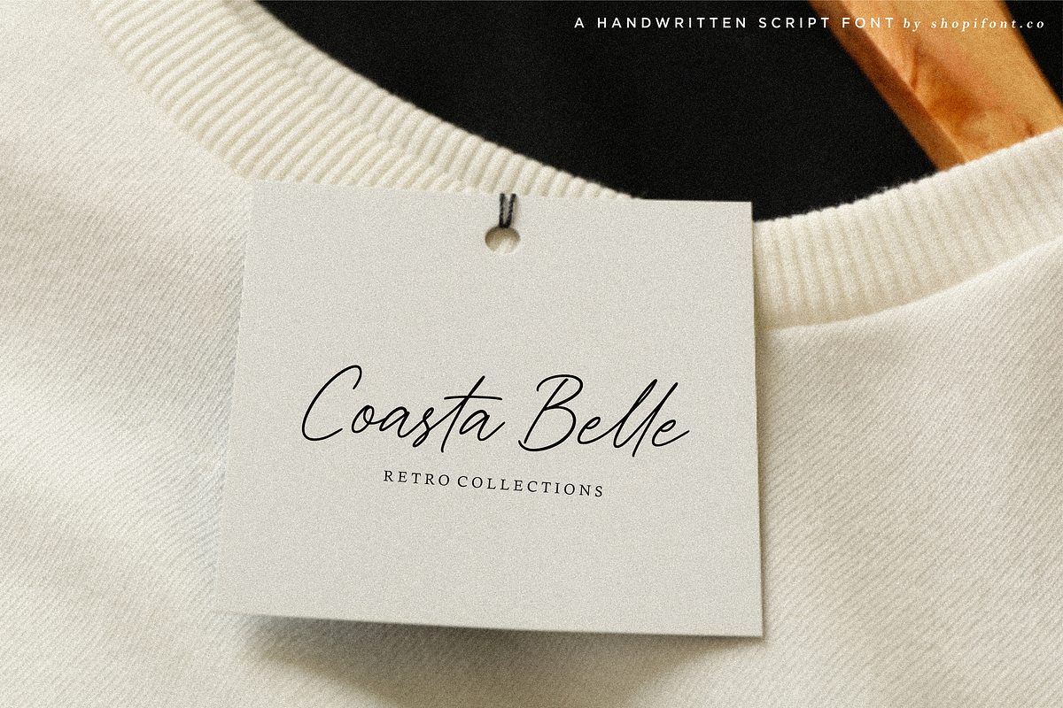 Bristleback, a Script Font by Shopifont.co (Photo 9 of 13)