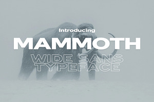 Mammoth - Wide & Bold, a Sans Serif Font by HipFonts