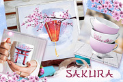 Sakura and Cat. Hanami watercolor, an Illustration by Maycat_store (Thumbnail 9 of 11)