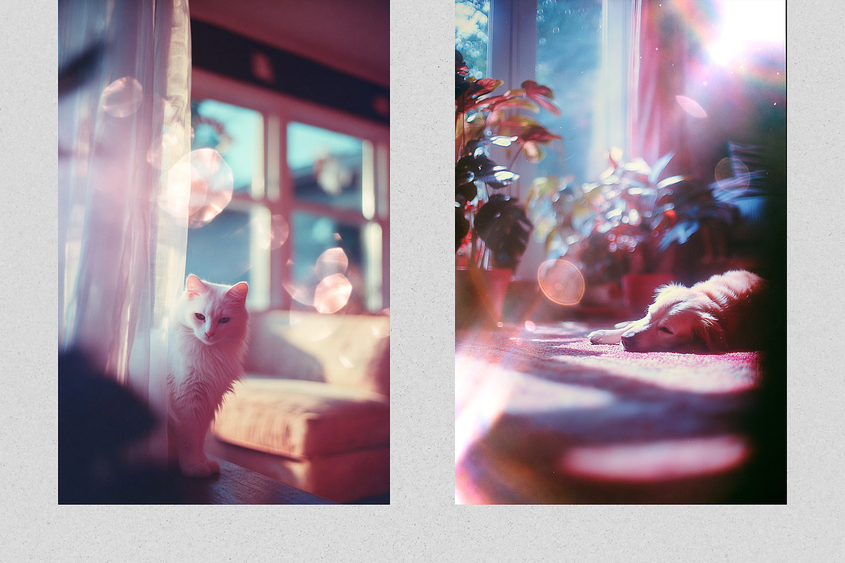 Cinematic Lens Glare Overlays, a Texture Graphic by PhotoSpirit (Photo 6 of 8)