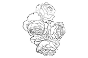 Outlined Flowers, an Object Graphic by VictoriaKStudio (Thumbnail 4 of 4)