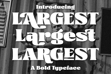 Largest Display Fonts