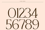 CS Asena – Elegant Serif Font, a Serif Font by Craft Supply Co. (Thumbnail 3 of 8)