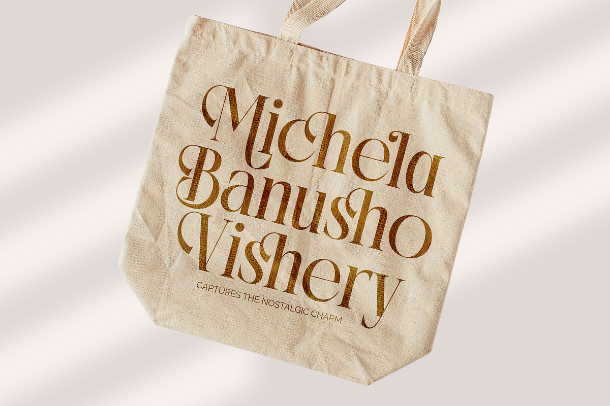 Rich Dashy Modern Elegant Serif, a Script Font by timelesstype.co (Photo 8 of 20)