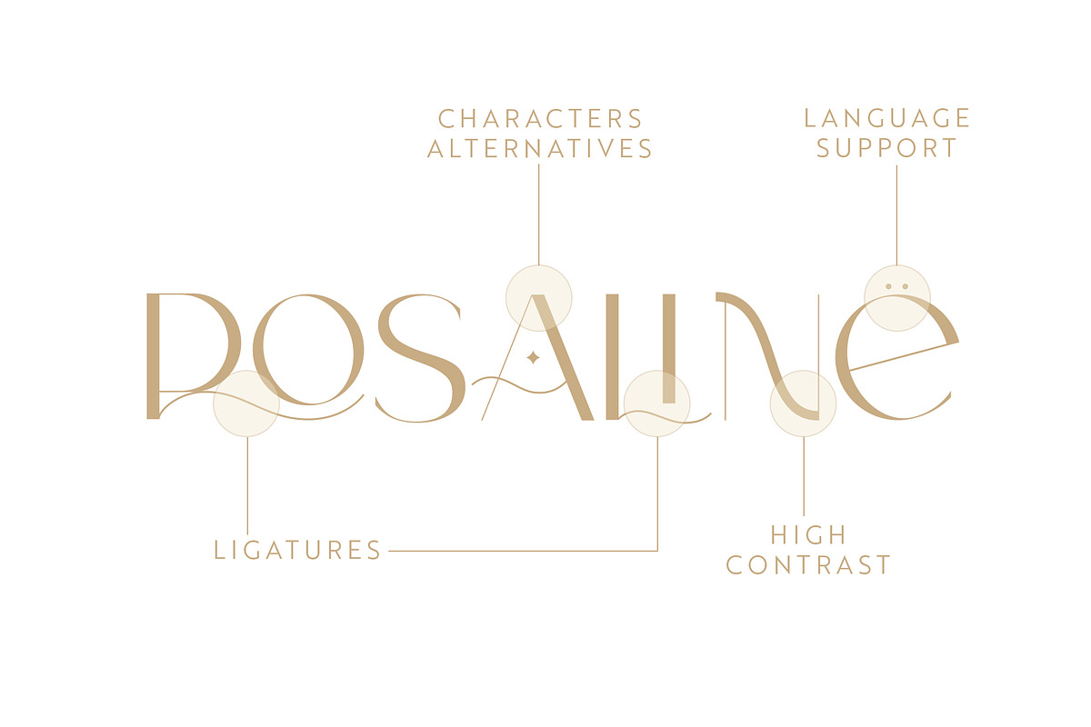 Cameron | Modern Sans Serif Font, a Sans Serif Font by Kandella's Art (Photo 14 of 17)