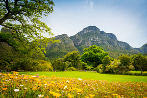 Table Mountain Cape Town, South Africa, a Nature Photo by THP Creative