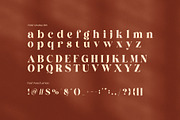 Chatoya Elegant Serif Display Font, a Serif Font by Elegant Font (Thumbnail 7 of 8)