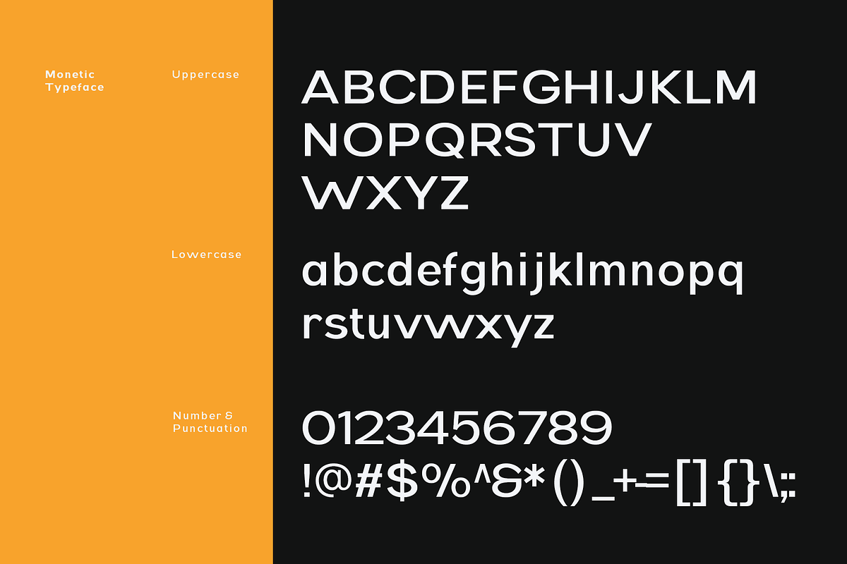 Monetic - Modern Sans Serif Family, a Sans Serif Font by Indotype Foundry (Photo 4 of 10)