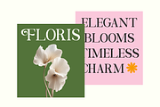 Navore Modern Elegant Display Font, a Serif Font by Rasio Studio (Thumbnail 6 of 9)
