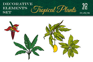 Tropical Plants Set