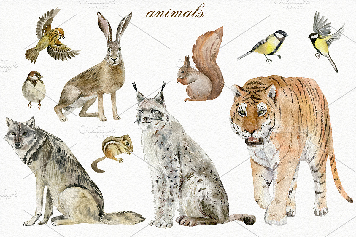 Forest watercolor designer toolkit, an Animal Illustration by Elegantia (Photo 9 of 28)