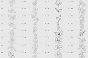 Procreate flower stamp, a Brush Add-On by AnnaPolitmerskaja (Thumbnail 4 of 4)
