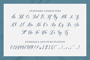 Shineblue - Romantic Calligraphy, a Script Font by RockboyStd (Thumbnail 8 of 12)