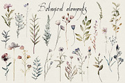 Magic botanical collection, a Decorative Illustration by marie dricot (Thumbnail 2 of 16)