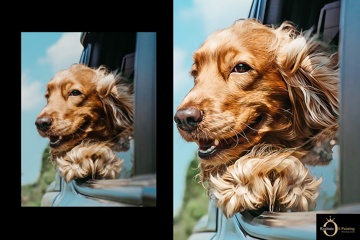 Realistic Oil Painting, an Action Add-On by PSD Action (Photo 7 of 11)