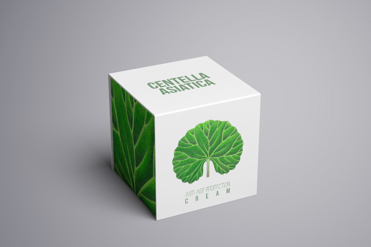 Centella Asiatica plant leaf, a Food Illustration by separisa (Photo 3 of 5)