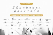 Fadhillah Signature, a Script Font by Gatype (Thumbnail 7 of 7)