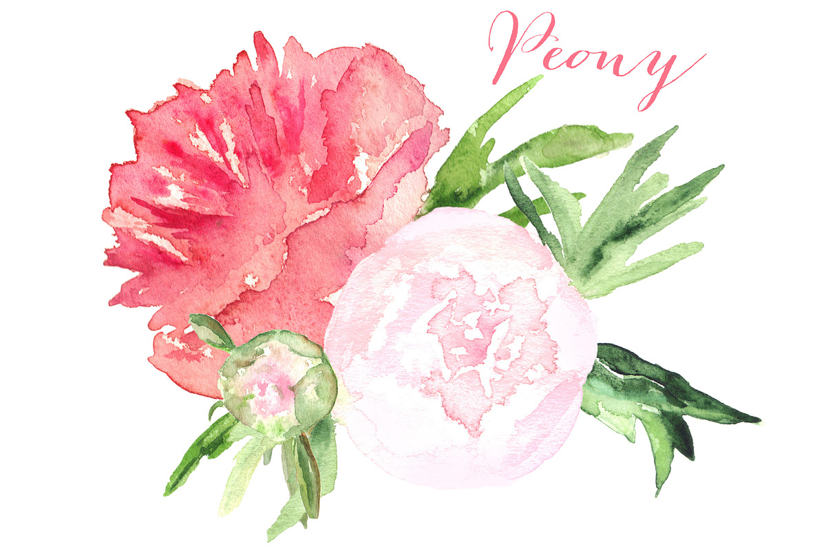 Peony watercolor clip art, a Graphic by LABFcreations