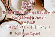 Roasted Coconut - Handwritten Font, a Font by Dm Studio (Thumbnail 5 of 5)
