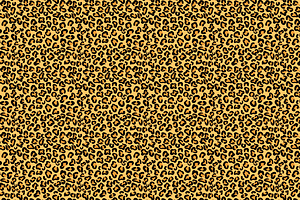 Big Cat Seamless Pattern Bundle